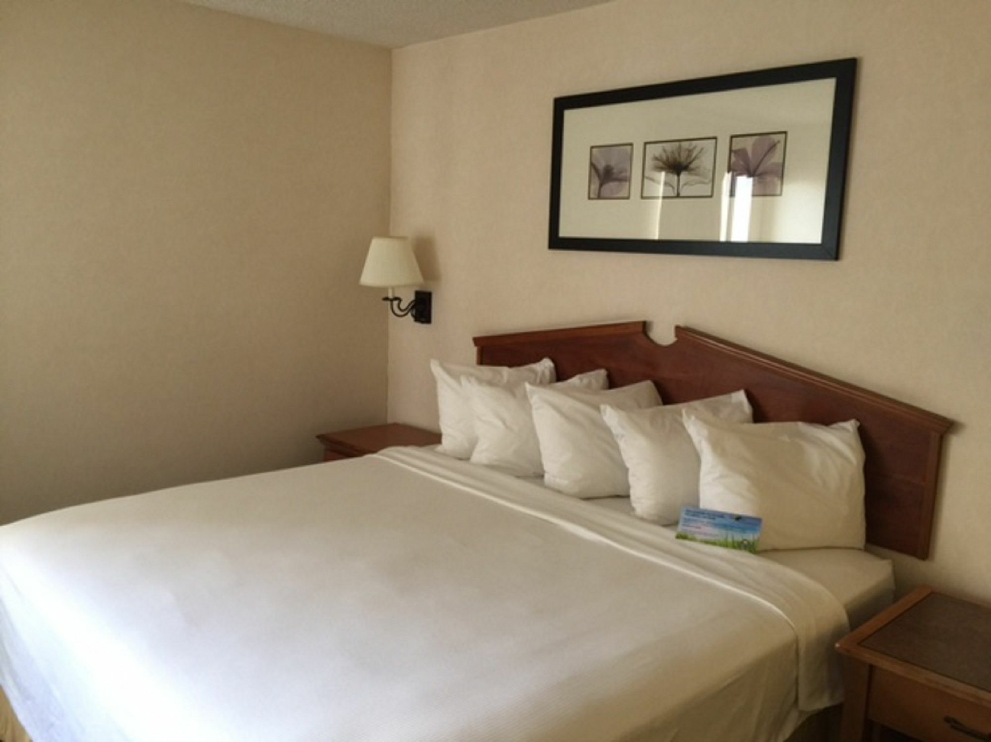 Days Inn & Suites By Wyndham Denver International Airport Kültér fotó